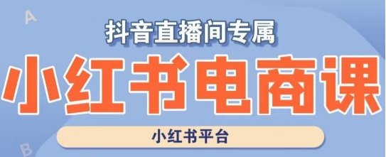 小红书电商高级运营课程，实操教学+案例分析-网创先锋