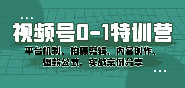 视频号0-1特训营：平台机制、拍摄剪辑、内容创作、爆款公式，实战案例分享-网创先锋