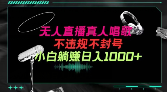 抖音24小时无人直播音乐，不违规，不封号纯撸音浪，小白实操当天日入1000+【揭秘】-网创先锋