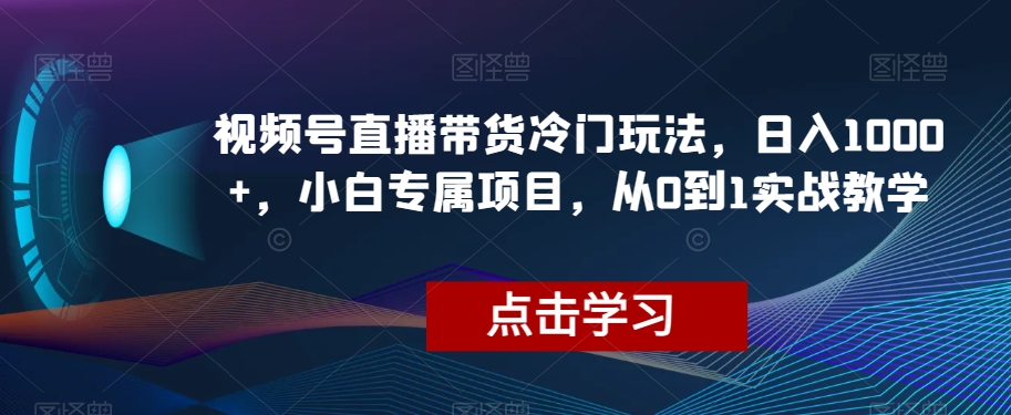 视频号直播带货冷门玩法，日入1000+，小白专属项目，从0到1实战教学【揭秘】-网创先锋
