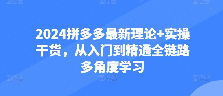 2024拼多多最新理论+实操干货，从入门到精通全链路多角度学习-网创先锋