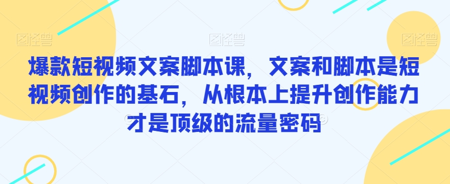 爆款短视频文案脚本课，文案和脚本是短视频创作的基石，从根本上提升创作能力才是顶级的流量密码-网创先锋