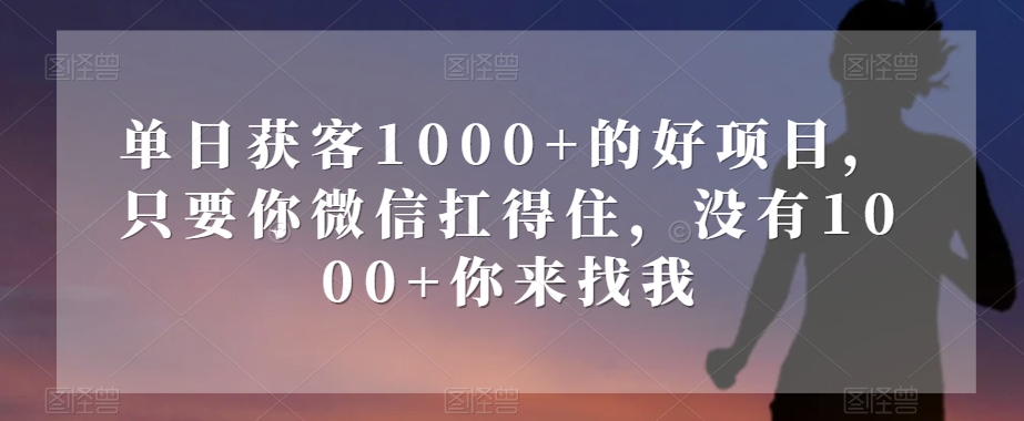 单日获客1000+的好项目，只要你微信扛得住，没有1000+你来找我【揭秘】-网创先锋