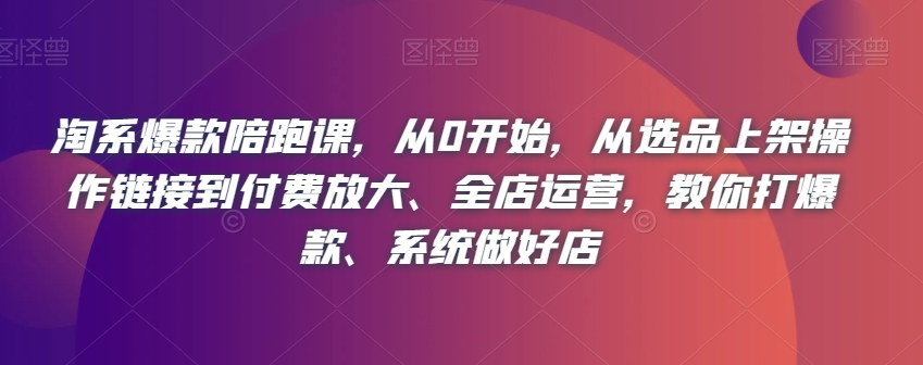 淘系爆款陪跑课，从0开始，从选品上架操作链接到付费放大、全店运营，教你打爆款、系统做好店-网创先锋