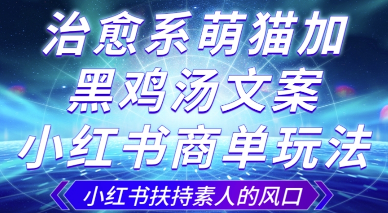 治愈系萌猫加+黑鸡汤文案，小红书商单玩法，3~10天涨到1000粉，一单200左右-网创先锋