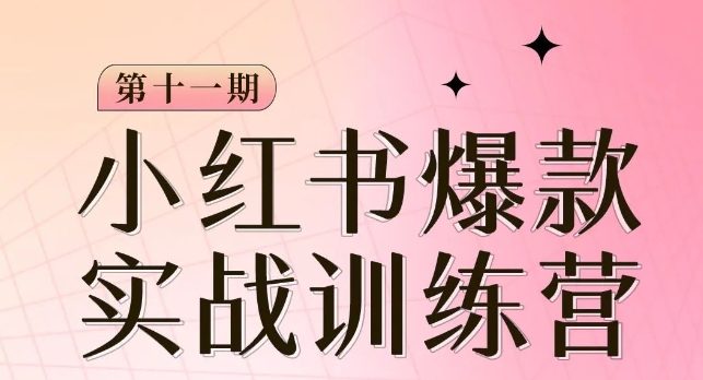 小红书博主爆款训练营第11期，手把手教你从0-1做小红书，从定位到起号到变现-网创先锋