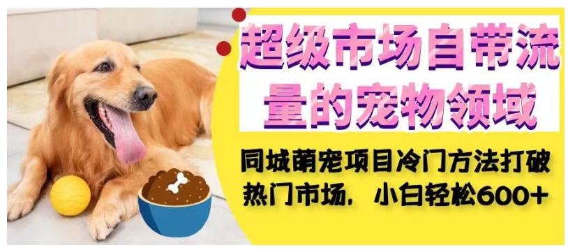 超级市场自带流量的宠物领域，同城萌宠项目冷门方法打破热门市场，小白轻松600+-网创先锋