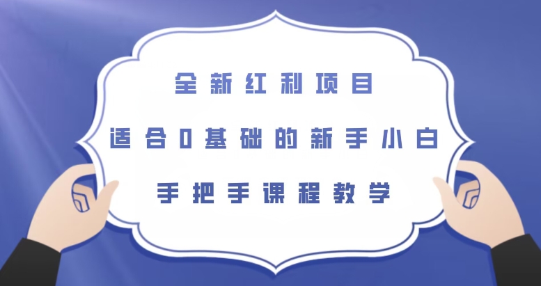 全新红利项目，适合0基础的新手小白，手把手课程教学【揭秘】-网创先锋