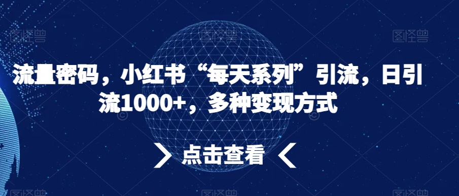 流量密码，小红书“每天系列”引流，日引流1000+，多种变现方式【揭秘】-网创先锋