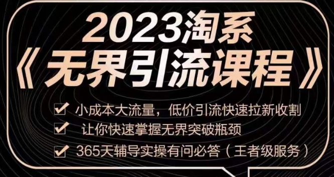 2023淘系无界引流实操课程，​小成本大流量，低价引流快速拉新收割，让你快速掌握无界突破瓶颈-网创先锋