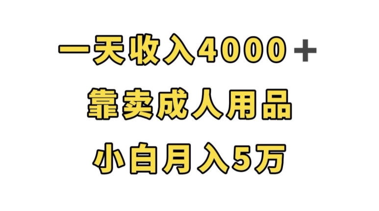 一天收入4000+，靠卖成人用品，小白轻松月入5万【揭秘】-网创先锋