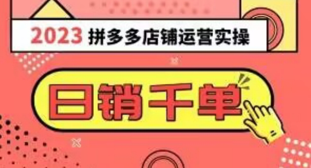 2023拼多多运营实操，每天30分钟日销1000＋，爆款选品技巧大全（10节课）-网创先锋