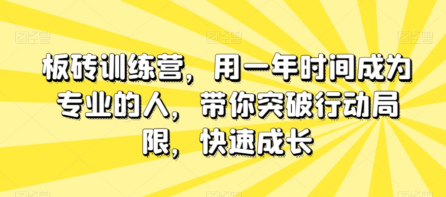 板砖训练营，用一年时间成为专业的人，带你突破行动局限，快速成长-网创先锋