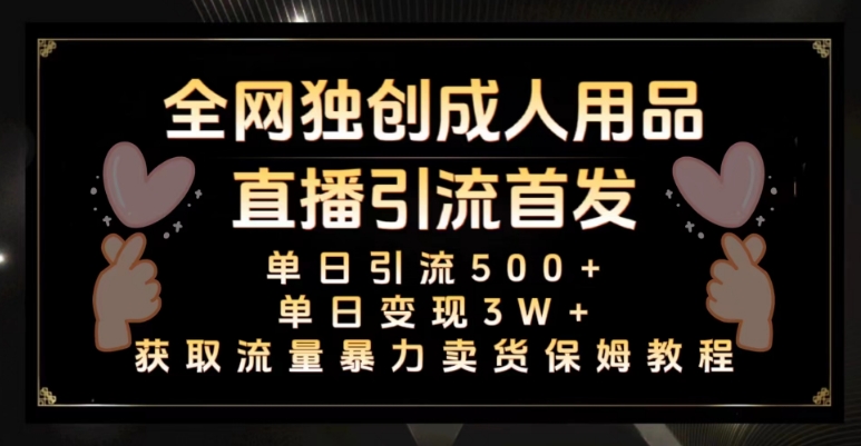 全网独创真人主播+无人直播单日引流500+，橙人用品暴力卖货单日变现3W+保姆似教学2.0【揭秘】-网创先锋