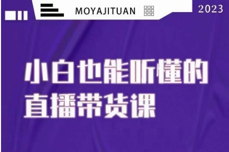 大威本威·能听懂的直播带货课，小白也能听懂，20节完整-网创先锋