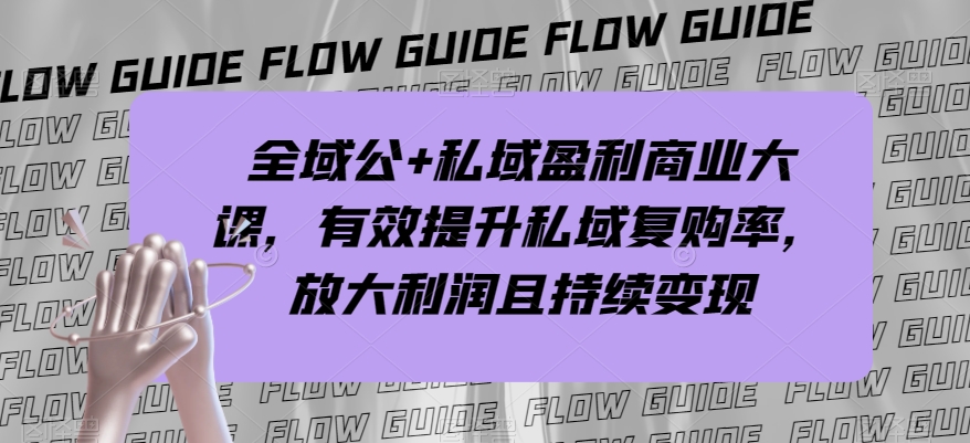 全域公+私域盈利商业大课，有效提升私域复购率，放大利润且持续变现-网创先锋