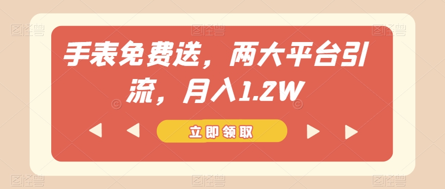 手表免费送，两大平台引流，月入1.2W【揭秘】-网创先锋