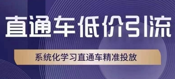 直通车低价引流课，系统化学习直通车精准投放-网创先锋
