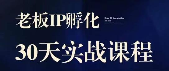 诸葛·2023老板IP实战课，实体同城引流获客，IP孵化必听-网创先锋