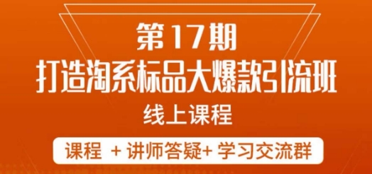 南掌柜-第17期打造淘系标品大爆款，5天线上课-网创先锋