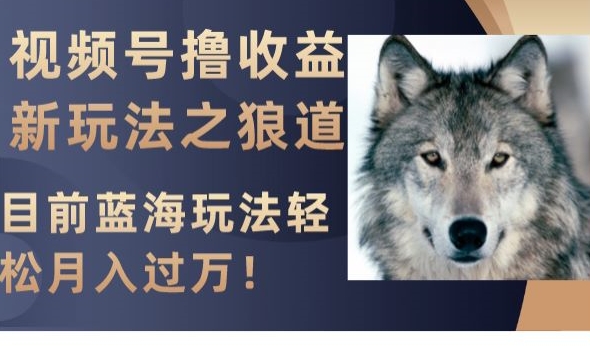 视频号撸收益新玩法之狼道，目前蓝海玩法，轻松月入过万【揭秘】-网创先锋