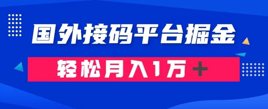 通过国外接码平台掘金：成本1.3，利润10＋，轻松月入1万＋【揭秘】-网创先锋