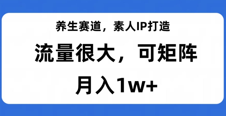 养生赛道，素人IP打造，流量很大，可矩阵，月入1w+【揭秘】-网创先锋