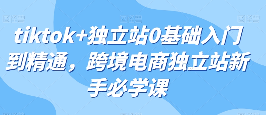 tiktok+独立站0基础入门到精通，跨境电商独立站新手必学课-网创先锋