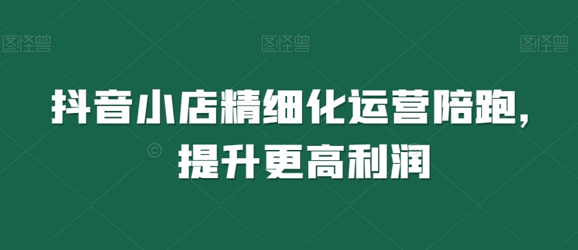 抖音小店精细化运营陪跑，提升更高利润-网创先锋