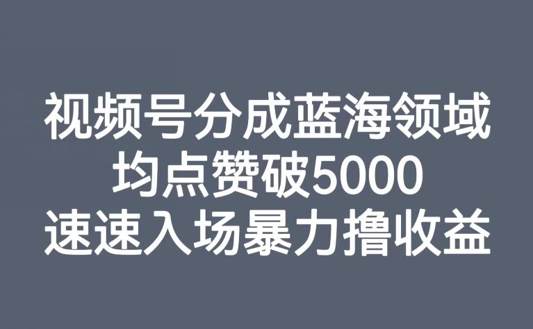 视频号分成蓝海领域，均点赞破5000，速速入场暴力撸收益-网创先锋