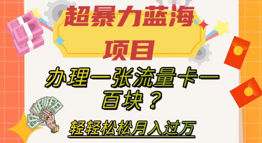 超暴力蓝海项目，办理一张流量卡一百块？轻轻松松月入过万，保姆级教程【揭秘】-网创先锋