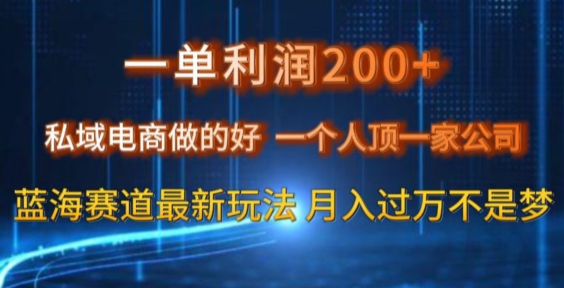 一单利润200私域电商做的好，一个人顶一家公司蓝海赛道最新玩法【揭秘】-网创先锋