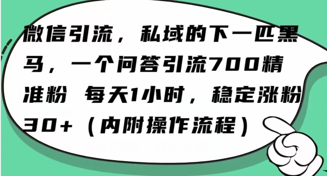 怎么搞精准创业粉？微信新赛道，每天一小时，利用Ai一个问答日引100精准粉-网创先锋