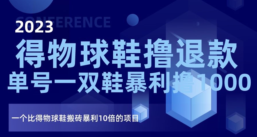 2023得物球鞋撸退款，单号一双鞋暴利撸1000，一个比得物球鞋搬砖暴利10倍的项目【揭秘】-网创先锋
