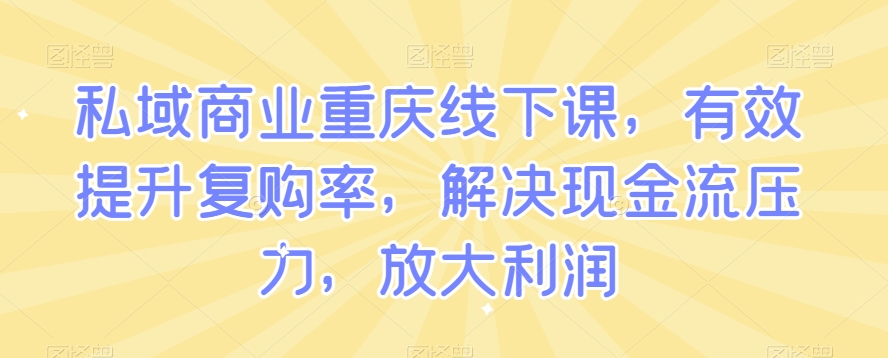私域商业重庆线下课，有效提升复购率，解决现金流压力，放大利润-网创先锋