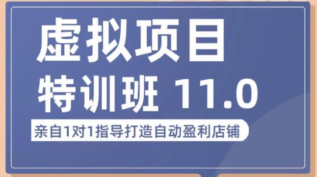 陆明明·虚拟项目特训班（10.0+11.0），0成本获取虚拟素材，0基础打造自动盈利店铺-网创先锋
