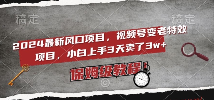 2024最新风口项目，视频号变老特效项目，电脑小白上手3天卖了3w+，保姆级教程【揭秘】-网创先锋