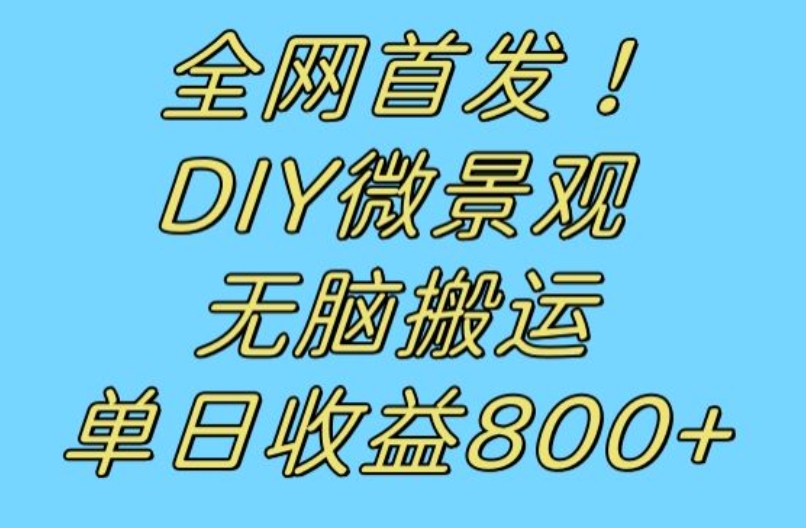 全网首发冷门赛道！DIY微景观，无脑搬运视频，日收益800+【揭秘】-网创先锋
