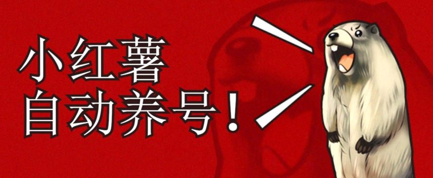 小红书养号秘籍，如何自动涨粉清晰系统标签打造高权重账号【揭秘】-网创先锋