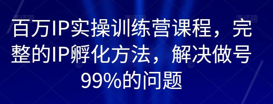 百万IP实操训练营课程，完整的IP孵化方法，解决做号99%的问题-网创先锋