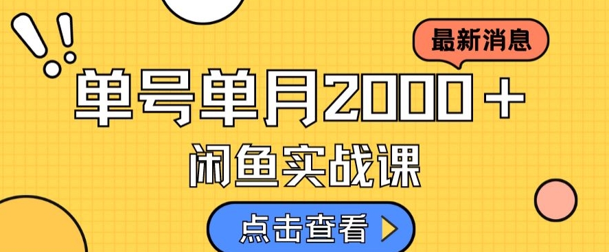 最新闲鱼日入500＋，虚拟资料变现喂饭级讲解-网创先锋