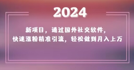 2024新项目，通过国外社交软件，快速涨粉精准引流，轻松做到月入上万【揭秘】-网创先锋