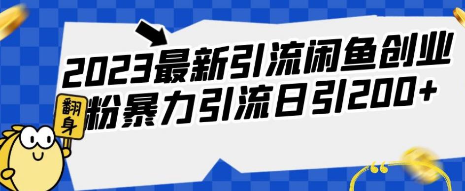 2023最新引流闲鱼创业粉暴力引流日引200+【揭秘】-网创先锋