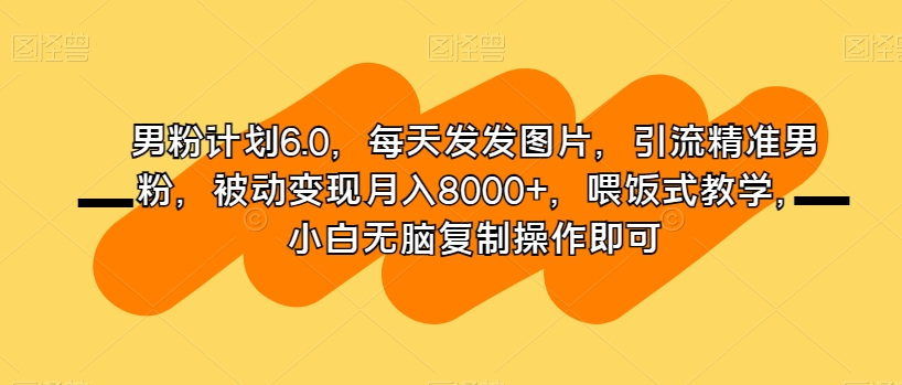 男粉计划6.0，每天发发图片，引流精准男粉，被动变现月入8000+，喂饭式教学，小白无脑复制操作即可-网创先锋