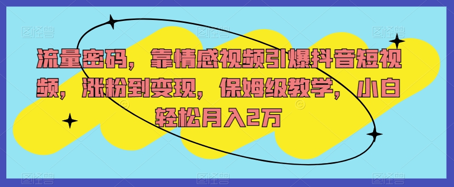 流量密码，靠情感视频引爆抖音短视频，涨粉到变现，保姆级教学，小白轻松月入2万【揭秘】-网创先锋