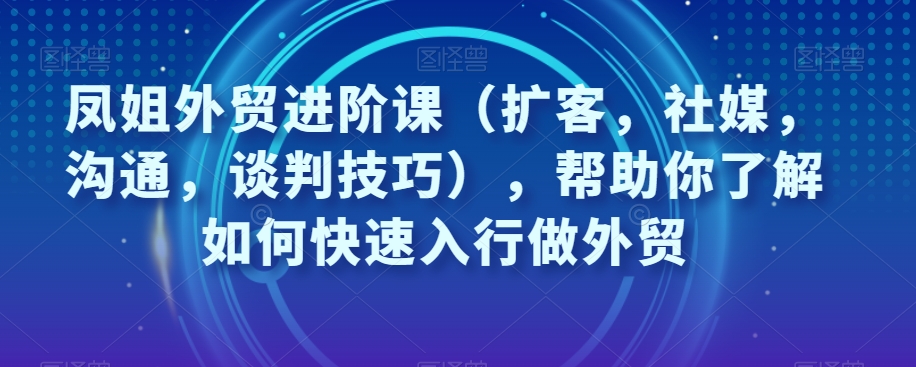 凤姐外贸进阶课（扩客，社媒，沟通，谈判技巧），帮助你了解如何快速入行做外贸-网创先锋