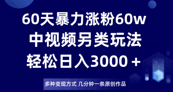 60天暴力涨粉60W，中视频另类玩法，日入3000＋，几分钟一条原创作品多种变现方式-网创先锋