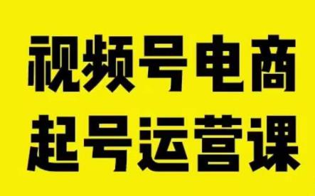 视频号电商起号运营课，教新人如何自然流起号，助力商家0-1突破-网创先锋