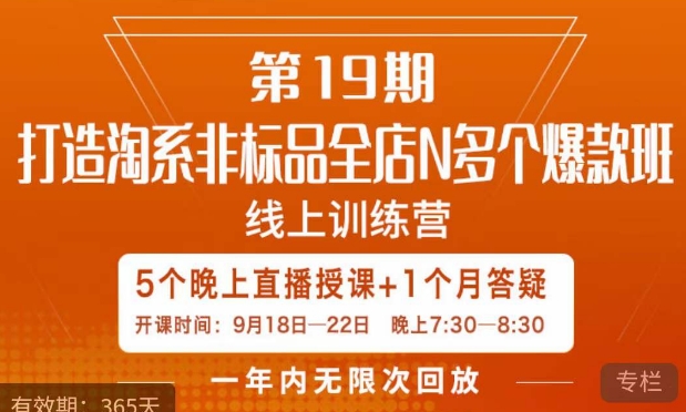 打造淘系非标全店N多个爆款线上课，​5天直播课-网创先锋