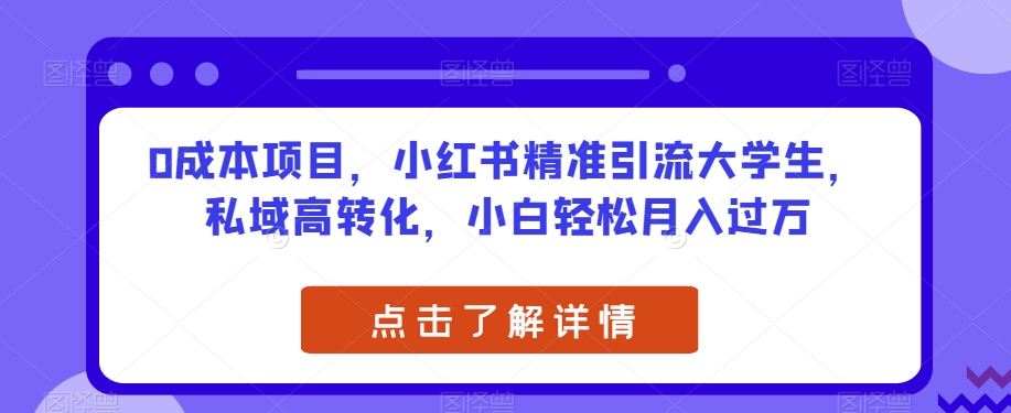 0成本项目，小红书精准引流大学生，私域高转化，小白轻松月入过万【揭秘】-网创先锋